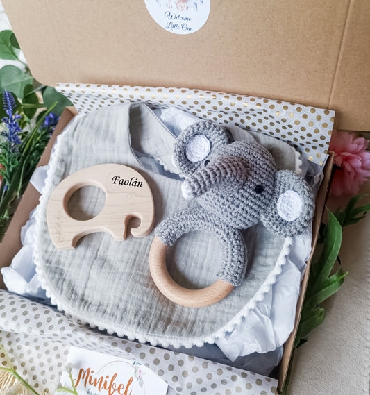 Baby Elephant Gift Set